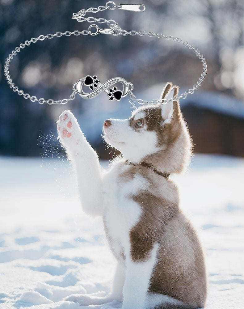 Unendliches Symbol Anhänger Haustier Pfotenarmband mit Zirkonia