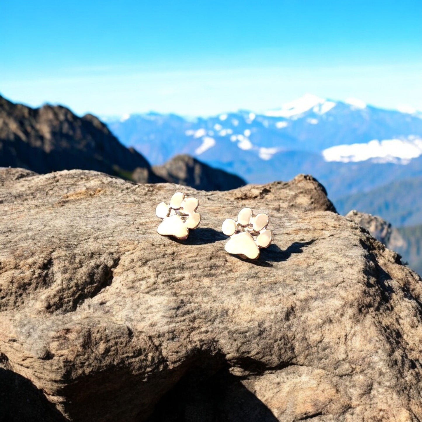 Hypoallergene Pfotenohrringe – Aus Edelstahl